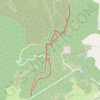 Denman common for Orienteering event GPS track, route, trail